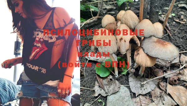 скорость Бородино