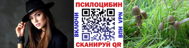 Галлюциногенные грибы ЛСД  Иноземцево 